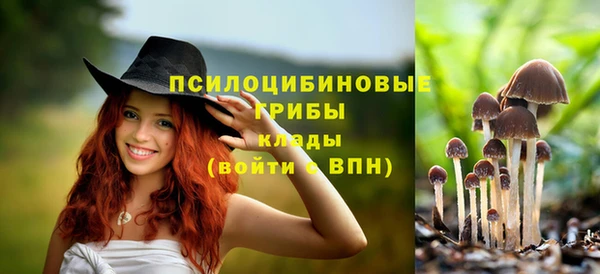 каннабис Богданович