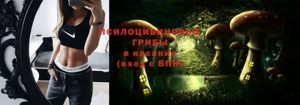 каннабис Богданович