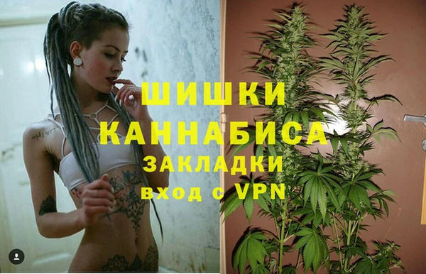 каннабис Богданович