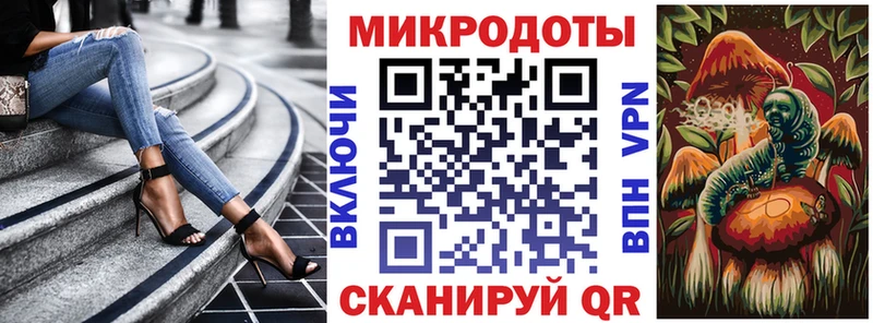 Псилоцибиновые грибы Psilocybe Салехард