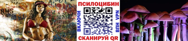 Галлюциногенные грибы Psilocybe  Купить закладки  Салехард 