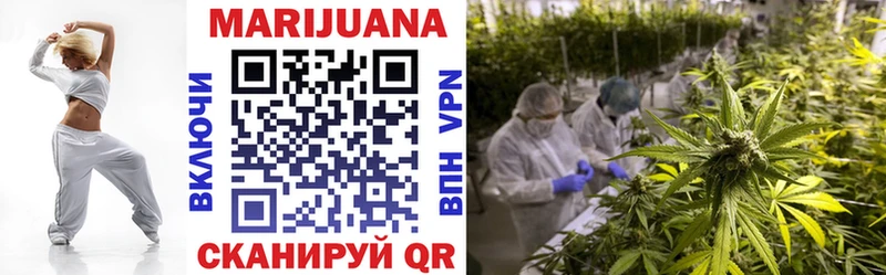 Купить закладки  Салехард  Канабис план 