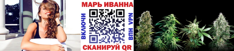Конопля планчик Салехард